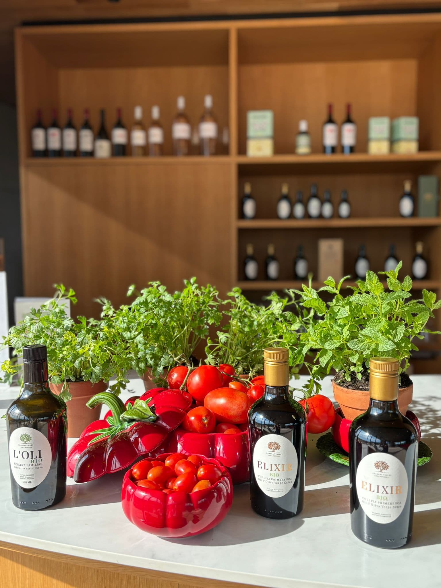 Olive oil bottles, fresh tomatoes, and herbs displayed in front of wooden wine shelves.